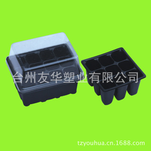 15-288孔育苗盘 ps育苗盘 育苗盘穴盘