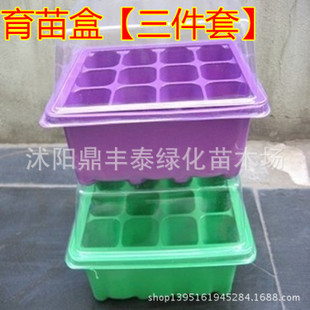 批发育苗盘,育苗穴盘,塑料育苗盘,育苗箱