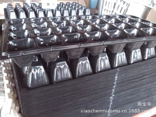 穴盆 塑料育苗盘 营养钵 蔬菜 花卉育苗 加厚 抗氧化 耐用
