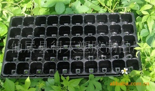 PVC育苗穴盘DT-50