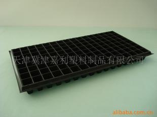 育苗穴盘