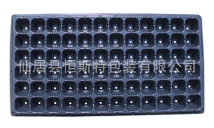 厂家直供 72孔育苗穴盘(育苗盘)穴盘 恒斯特塑业
