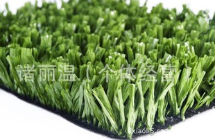 人造草坪地毯 人工草坪厂足球场人造草坪(图)