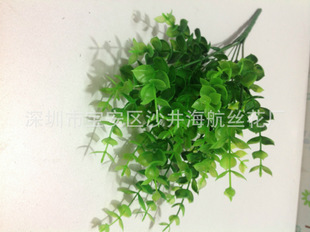  滨 ٻ 7ȼ ǮҶ԰Ʒϻ