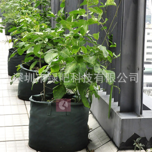 阳台、楼顶、墙角种植花盆、种植树袋