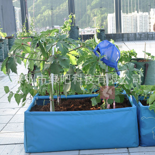 植树袋厂家美植袋快速物流发货