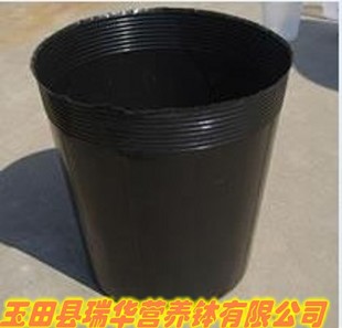 50X50营养钵