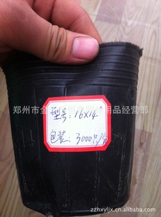 批发优质育苗容器 各种型号育苗杯 16x14型号营养钵