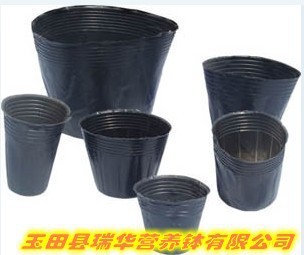 18X16营养钵 育苗钵