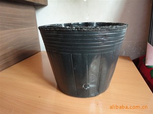 乔木专用营养钵48*48=2.35元
