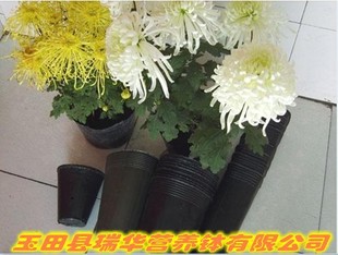 18X18 营养钵 育苗钵