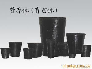 厂家大量多种型号营养钵 营养杯