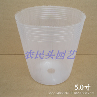 厂家直销蝴蝶兰营养杯白色透明育苗杯兰花盆整件批发5.0寸