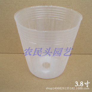 厂家直销蝴蝶兰营养杯白色透明育苗杯兰花盆整件批发3.8寸