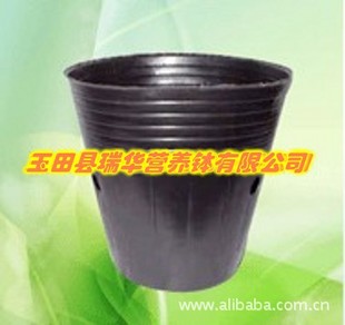 优质低价营养钵16x16