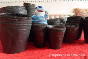 ۻûӪ12*10СӪ50