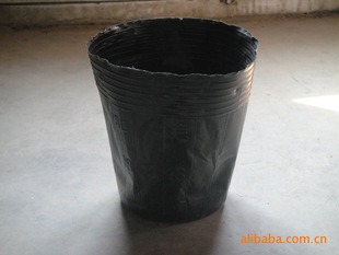 永利塑业大量12/10营养钵