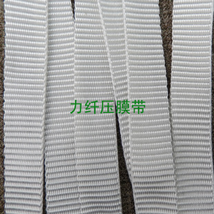 Ҵ2.0cm 700