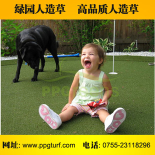PPGreensƷ*ƺ˹ƺ *ƺ