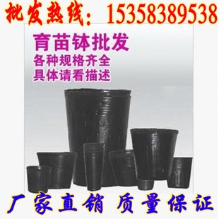 批发营养钵 育苗盆 营养杯 育苗袋 育苗杯 黑色塑料 播种育苗