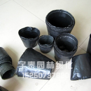 批发营养钵 厂家直销营养杯苗盘 营养体 全新*料 耐磨耐摔