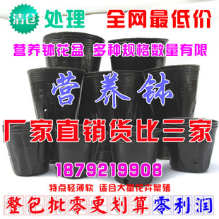 批发营养钵 塑料花盆 育苗盆 营养杯 营养钵 全新*料 耐磨耐摔