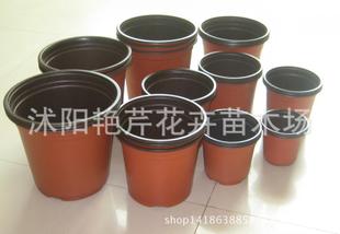 摔不坏花盆 双色花盆 塑料花盆 育苗盆 营养钵 花盆批发 园艺用品