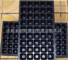 穴盆 黑色塑料育苗盘 营养钵 蔬菜 花卉育苗 加厚 抗氧化 耐用