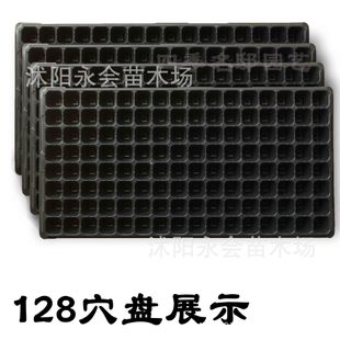 穴盆 黑色塑料育苗盘 营养钵 蔬菜 花卉育苗 加厚 抗氧化 耐用