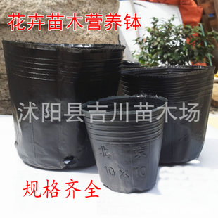 批发 育苗袋 营养钵 黑色营养袋 营养杯 塑料花盆 替代花盆