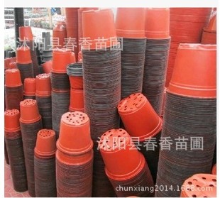 摔不坏花盆 双色花盆 塑料花盆 育苗盆 营养钵 花盆批发 园艺用品