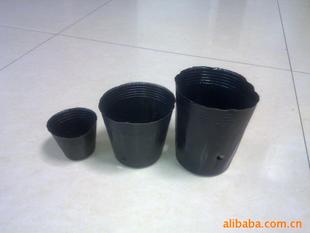 花卉苗木专用营养钵 营养盘