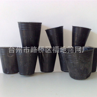 黑色无毒安全高质量吸热保温保肥温室种植塑料营养钵大量批发
