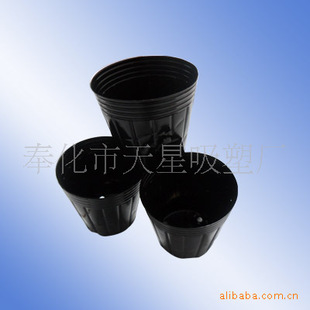 营养钵 育苗杯 育苗盘烟草育苗盘育苗基质,吸塑包装