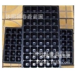 穴盆 塑料育苗盘 营养钵 蔬菜 花卉育苗 加厚 抗氧化 耐用