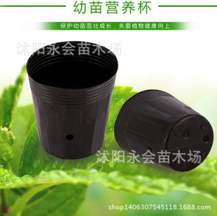 直销批发 育苗工具 盆栽黑色营养钵 营养袋 营养杯 塑料 替代花盆