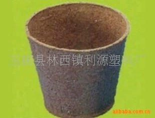 l质量保证 【精品*】 优质 营养钵