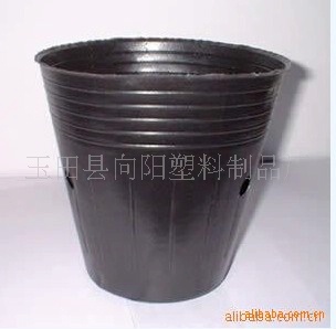 供苗木营养钵21*21