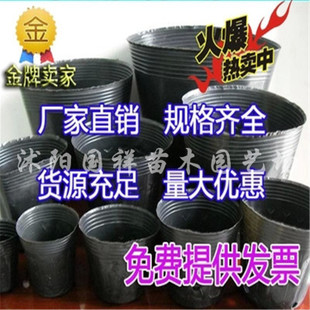 营养钵批发 营养钵 营养杯 育苗盆 育苗杯批发