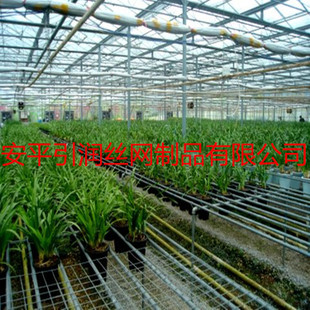 紲п紲ȶпƬ紲Ƭ