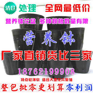 批发营养钵 塑料花盆 育苗盘 营养杯 营养钵 全新*料 耐磨耐摔