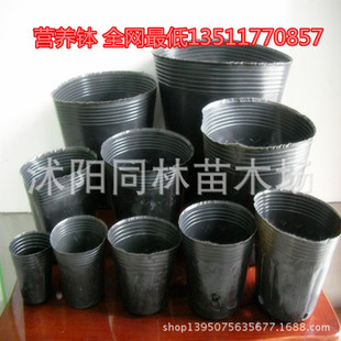 批发 育苗袋 营养钵 黑色营养袋 营养杯 塑料花盆 替代花盆
