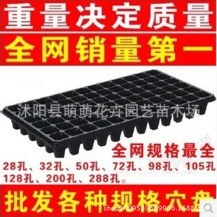 批发黑色塑料育苗盘 营养钵 蔬菜 花卉育苗 加厚 抗氧化 耐用