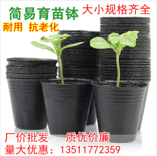 大量批发营养钵 塑料育苗盆 黑色营养钵营养杯 量大从优 品质保证