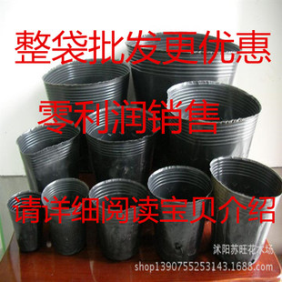 批发营养杯 加厚防化营养钵 厂家直销营养袋