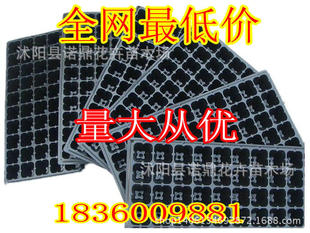批发黑色塑料育苗盘 营养钵 蔬菜 花卉育苗 加厚 抗氧化 耐用