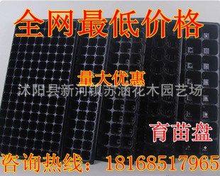 批发黑色塑料育苗盘 营养钵 蔬菜 花卉育苗 加厚 抗氧化 耐用
