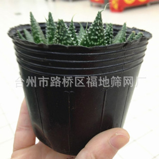 黑色无毒安全高质量吸热保温保肥保水温室种植塑料营养钵大量批发