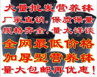 营养钵 加厚营养盆 营养杯 育苗袋 育苗杯