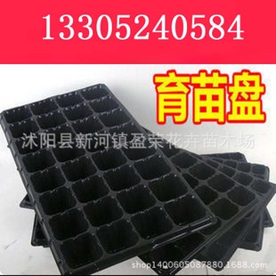 批发黑色塑料育苗盘 营养钵 蔬菜 花卉育苗 加厚 抗氧化 耐用